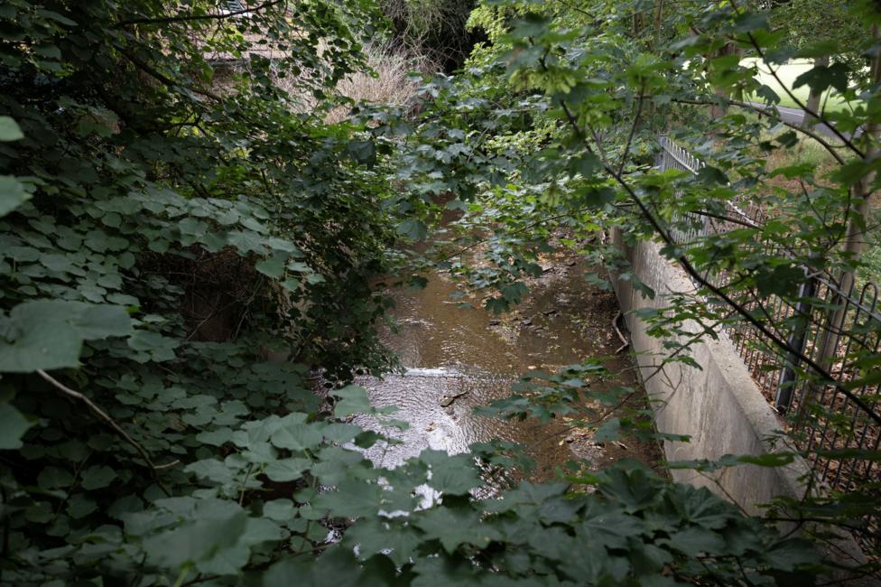 A bit of brown river
