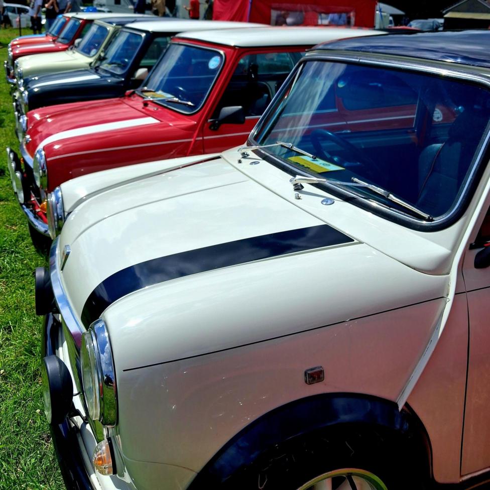 A row of classic Mini cars in various colours is parked on a grassy field at an outdoor car show.