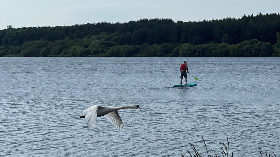 A swan flies low across a calm loch with its wings outstretched, while a paddleboarder glides across the water in the distance. Trees line the far shore beneath a clear evening sky.