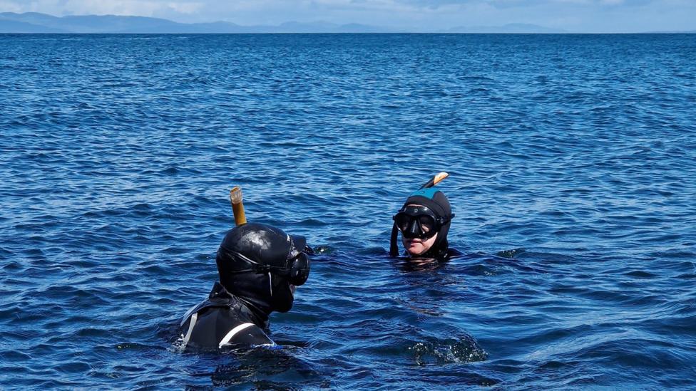 Two people wearing black wetsuits, masks, and snorkels, float in calm, open water beneath a bright blue sky. Large white clouds hang over the distant horizon and gentle waves surround the snorkellers