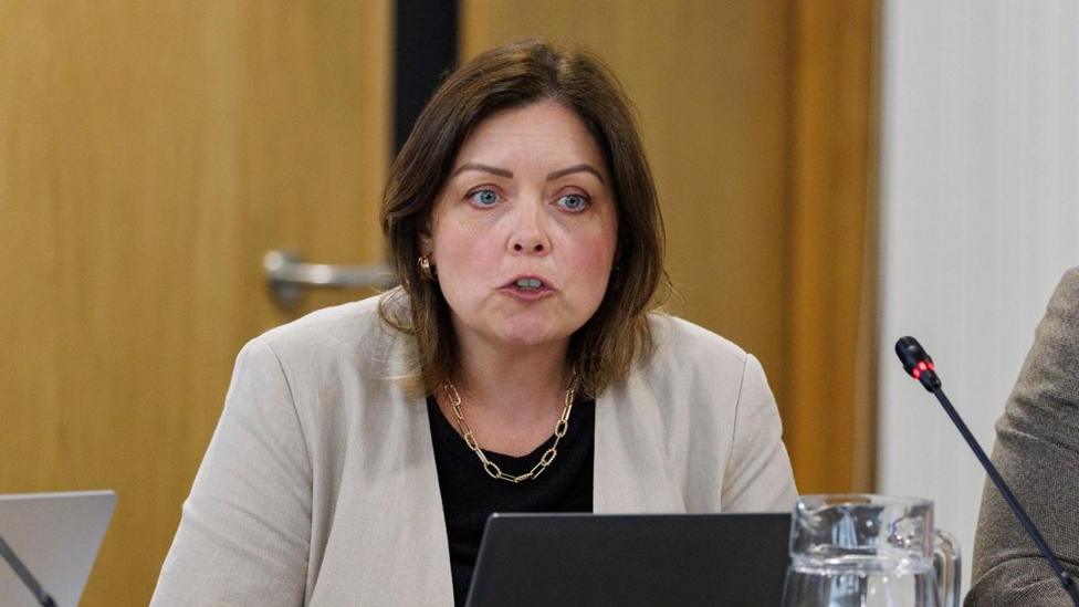 Deidre Hargey has brown hair down to her shoulders parted in the middle. She is speaking during a committee meeting with a microphone in front of her