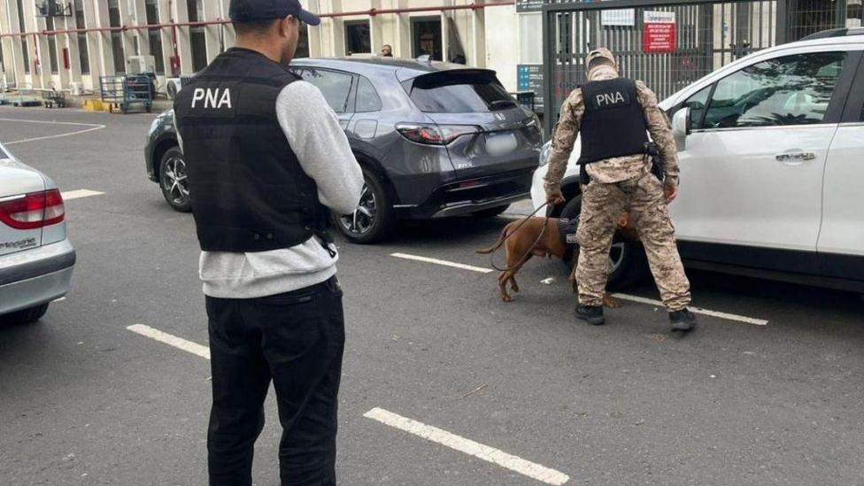 A dog sniffs at the wheels of a vehicle with a man watching on