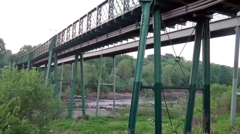 River Tyne near Ovingham Bridge which is a tall, green, metal structure. There are lush green trees on the opposite river bank, and shrubbery on the nearside.