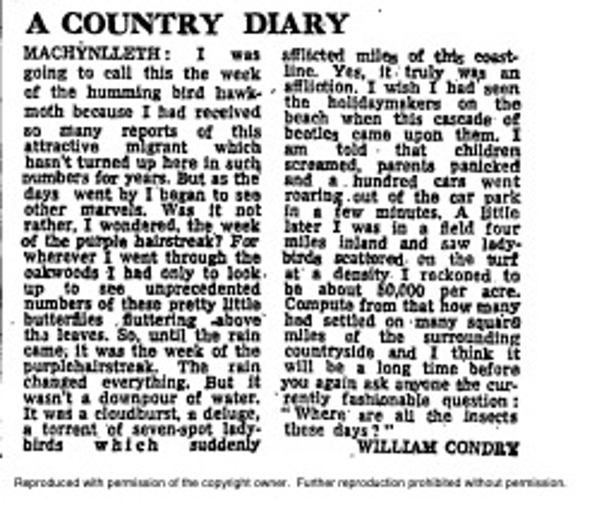 Country Diary image from newspaper