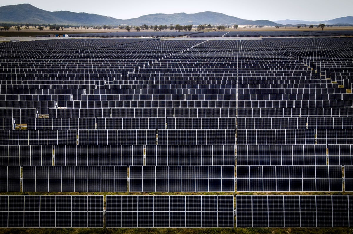 A field full of dark solar energy panels