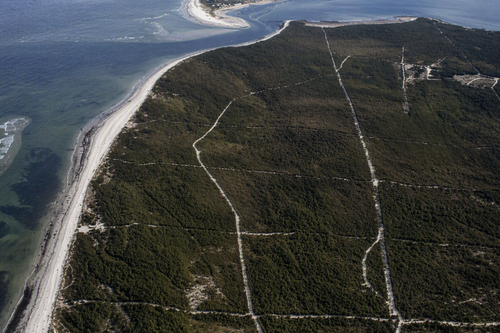 An aerial image showing Culbin Forest. The landscape is densely covered in trees, and criss-crossed with tracks.