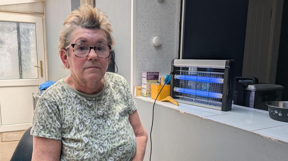 An elderly white woman with gingery, grey hair wearing a green and white patterned short sleeve T-shirt in front of an electronic fly trap on a window sill