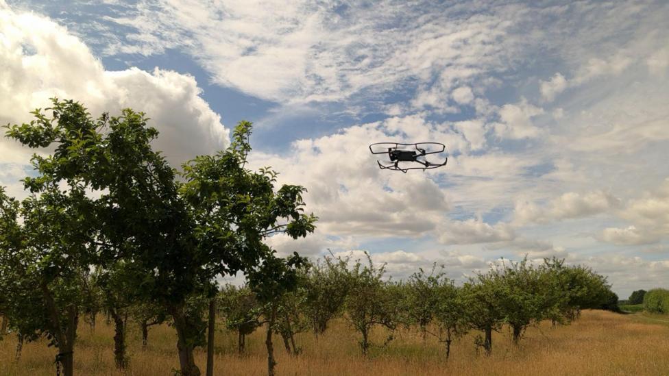 A drone is flying near to some trees in an orchard. The image is set against a blue sky with numerous clouds.