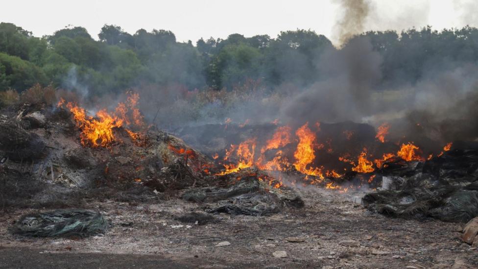 A fire and black ash left over from a bonfire. Smoke is rising. It's morning. Trees are in the background.