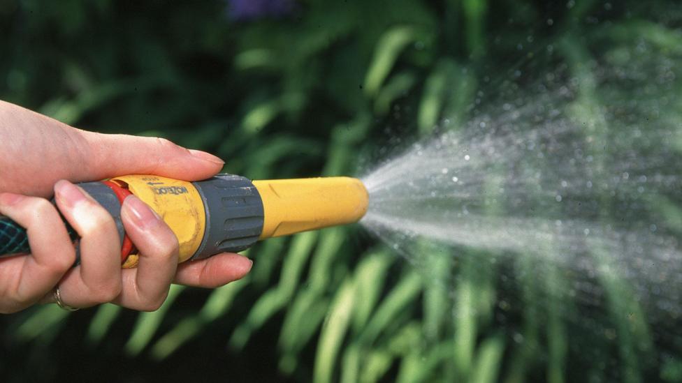A close-up of a person's hand watering a garden with water from a hosepipe.