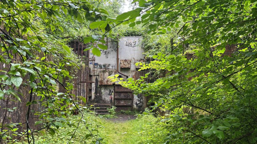 A narrow grassy path leads through dense green woodland towards a derelict concrete structure partially concealed by trees and thick vegetation. Large leafy branches frame the scene from above and both sides, creating a tunnel-like view towards the building. The structure has weathered white and grey concrete walls covered with patches of graffiti, rust stains and climbing plants. Rusted metal ladders, pipes and a heavy steel gate or door are visible at the entrance. Moss, nettles and other wild plants have spread across the ground and around the walls, showing how nature has reclaimed the abandoned site. Bright daylight filters through the tree canopy, highlighting the contrast between the vivid green foliage and the decaying industrial remains.
