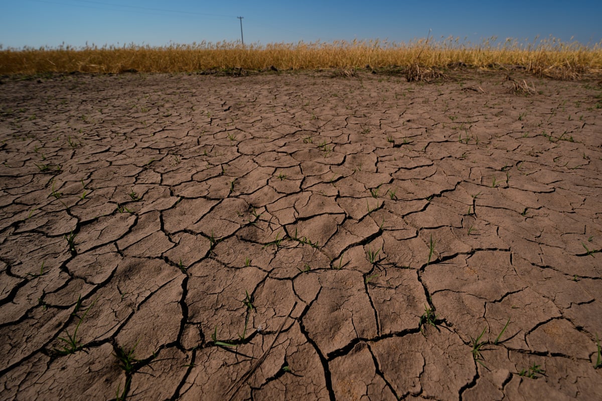 Cracked ground