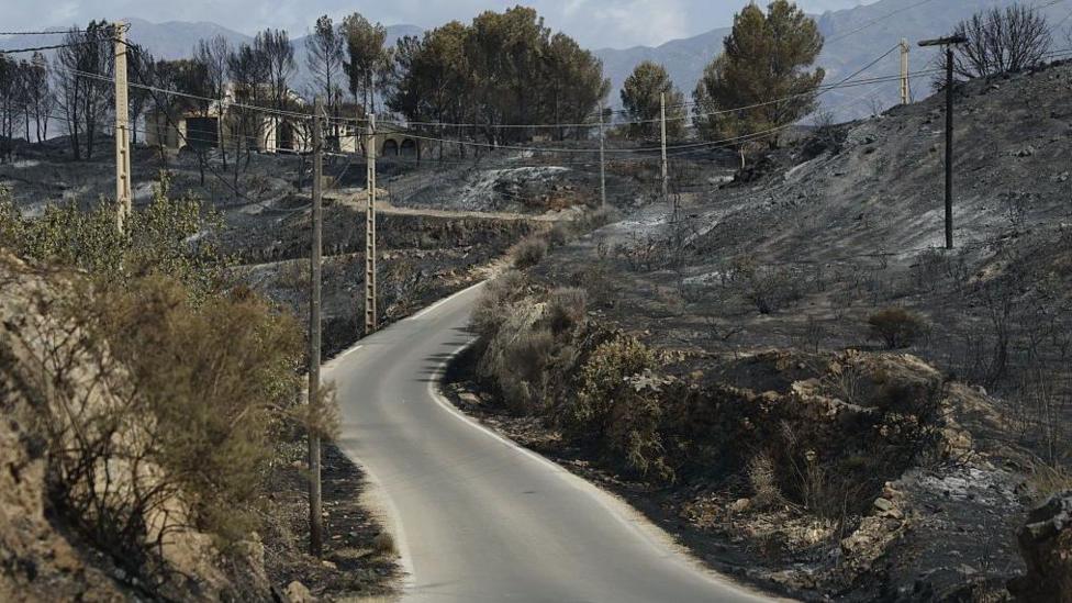 Firefighters, supported by helicopters and other emergency teams, carry out containment, surveillance and recovery operations across the burned landscape.