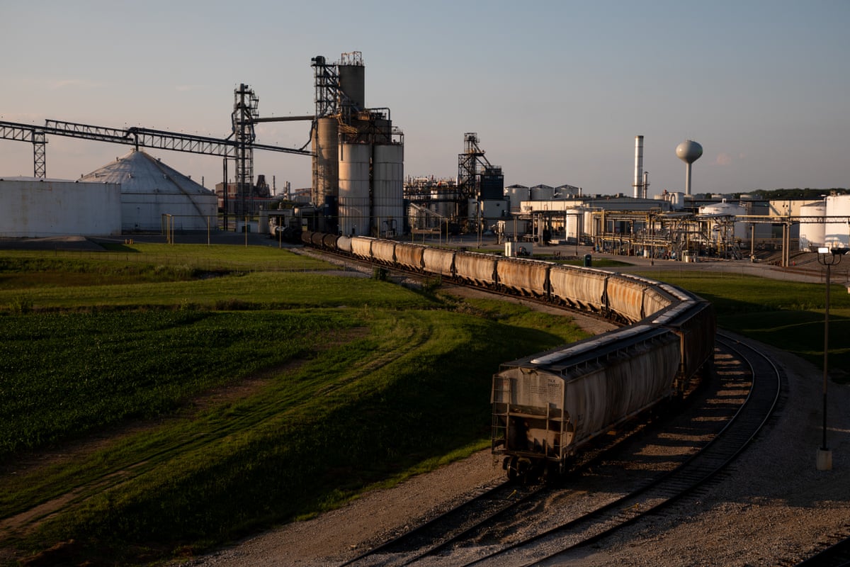 Train cars on railroad tracks wind into a large industrial facility.
