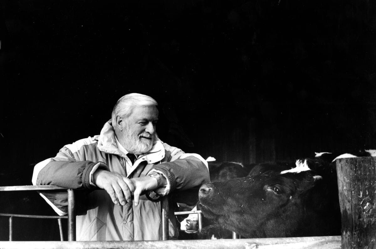 Ken Bates with the Friesian dairy herd at his farm in Beaconsfield, Buckinghamshire, in 1991.