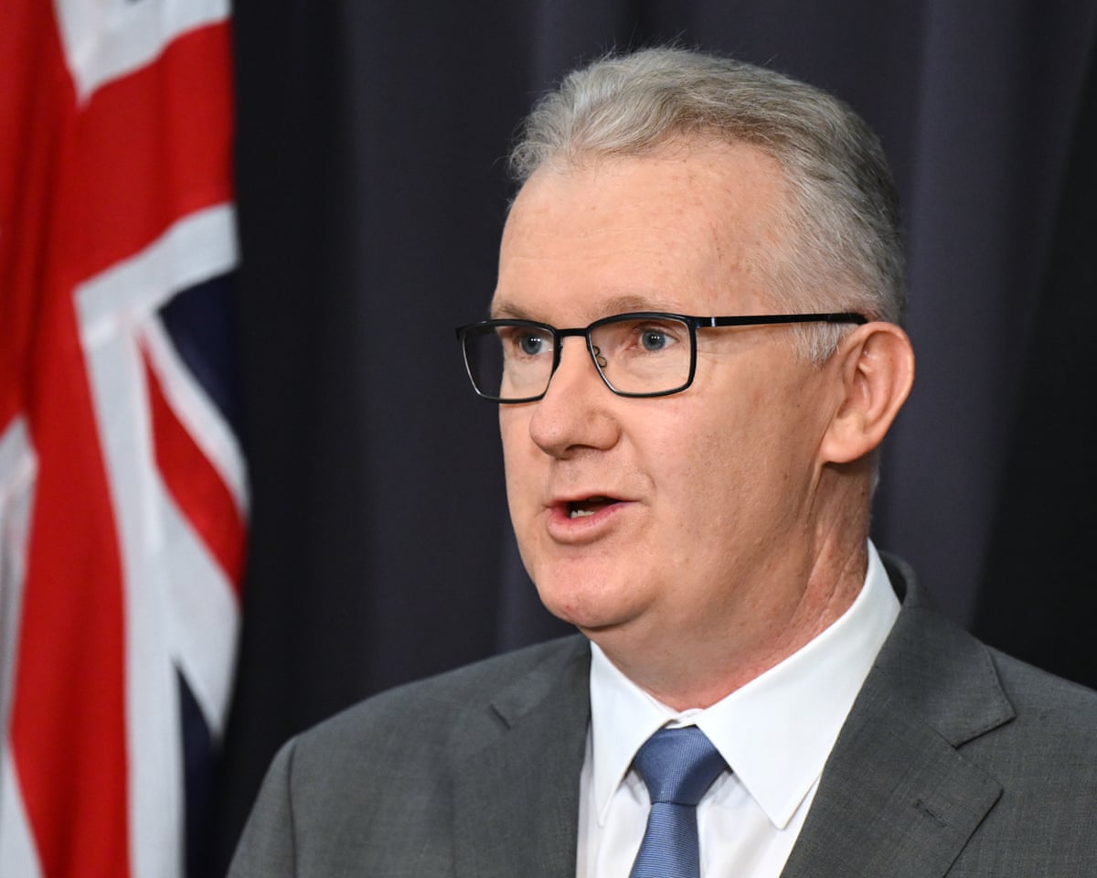 Home affairs minister Tony Burke