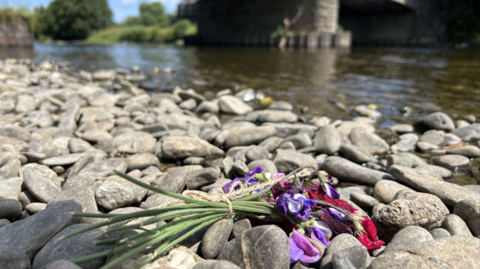 Blodau Afon Gwy