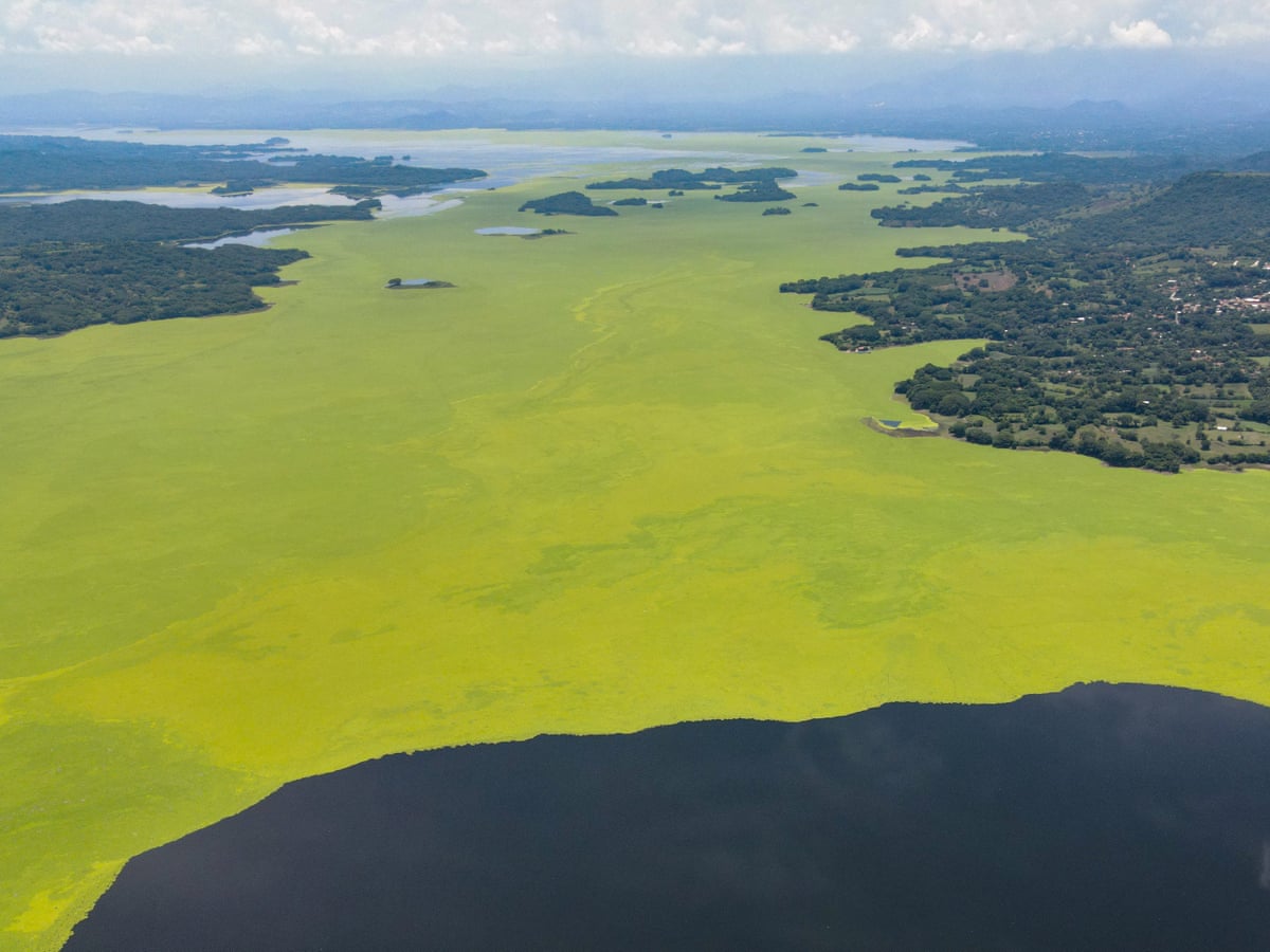 Aerial view from height of a large lake coloured bright green
