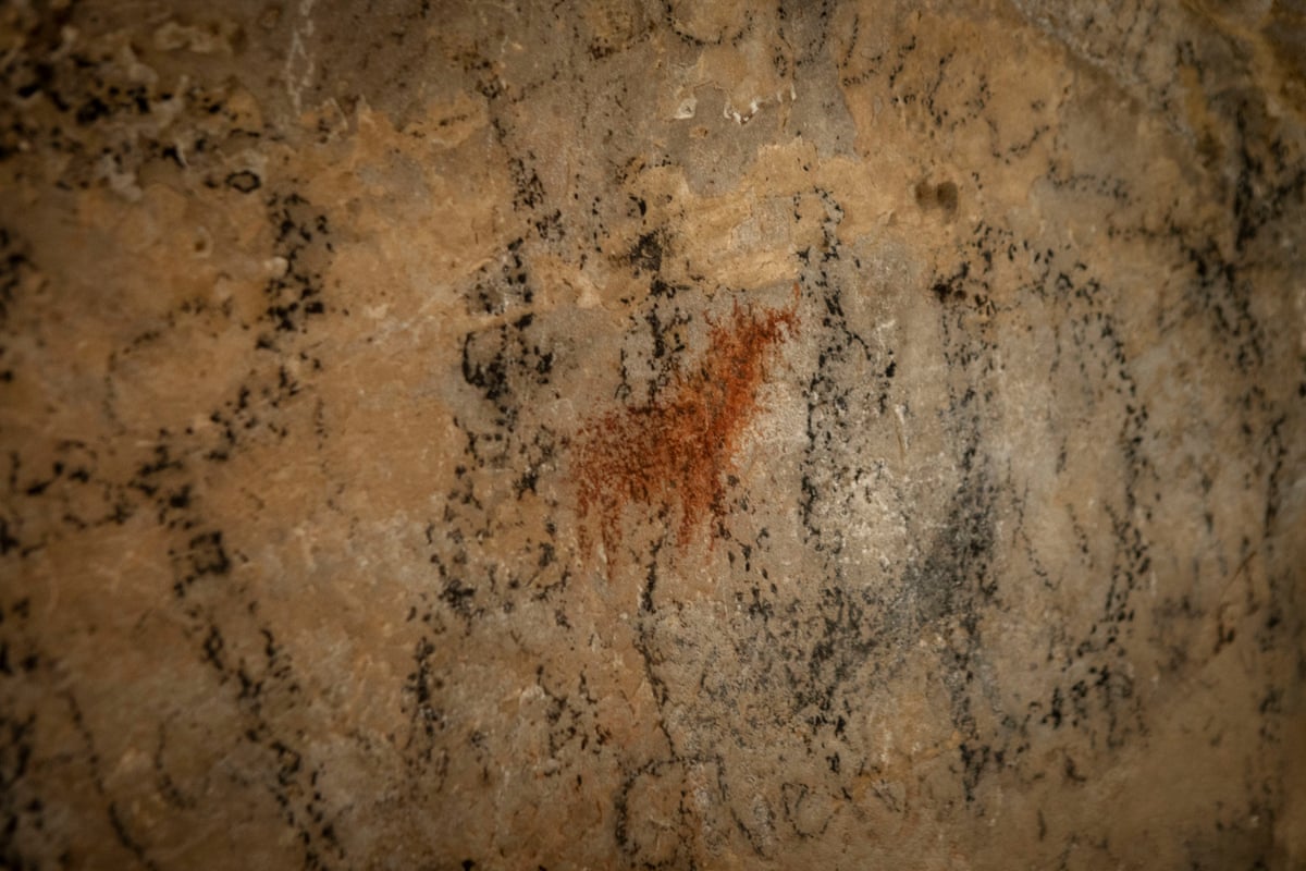 ancient rock carving in cave of animal
