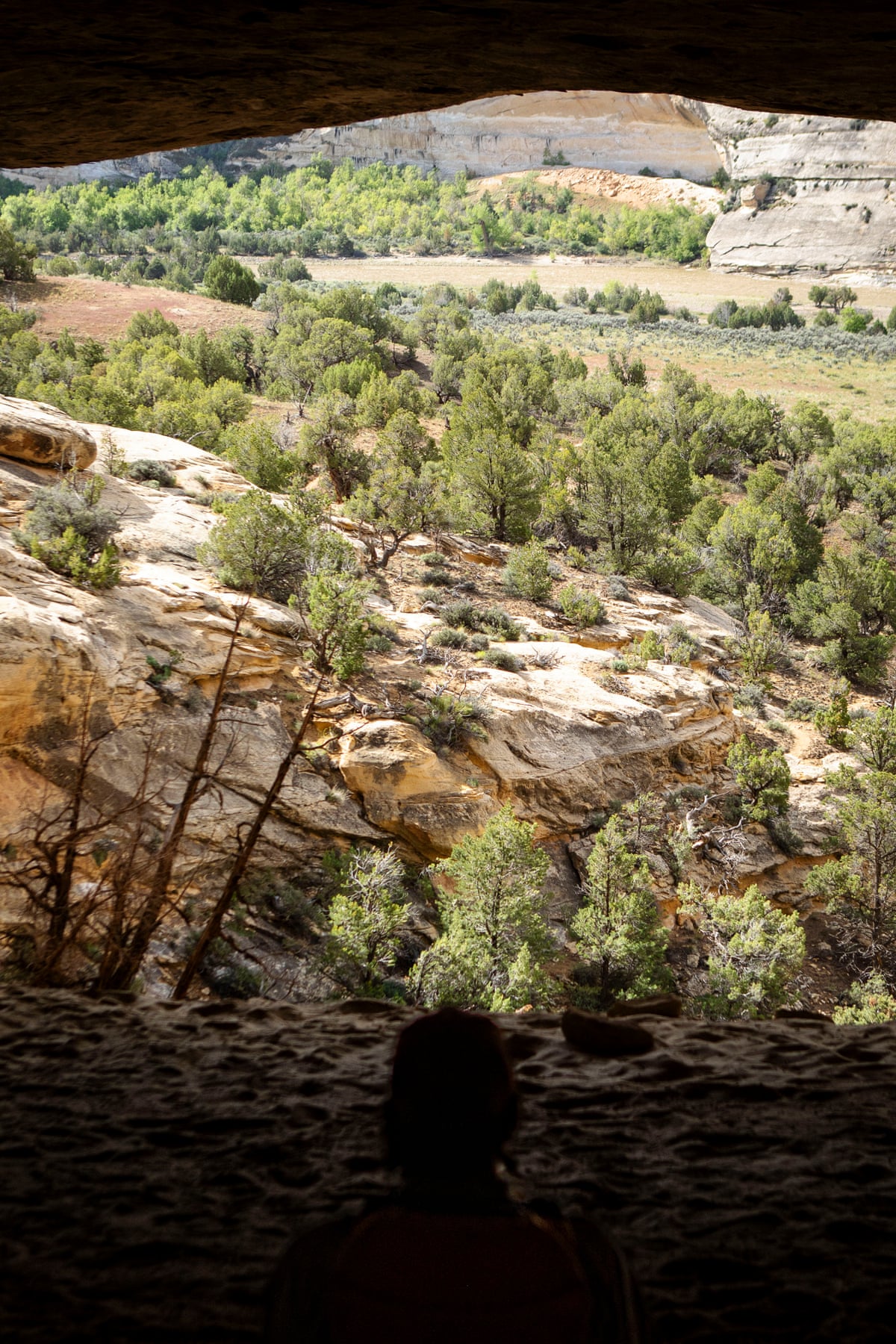 aerial view silhouette looking out at trees and canyons