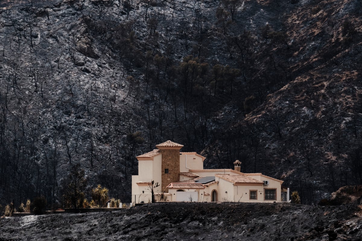 A house remains standing on a blackened and charred hillside
