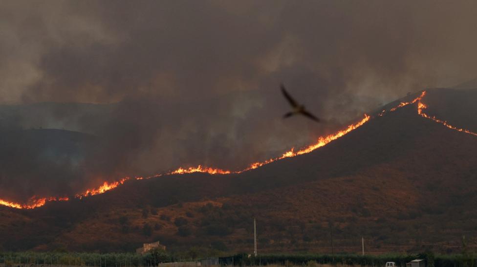 Deadly wildfires affecting Almeria province advance through the hills.