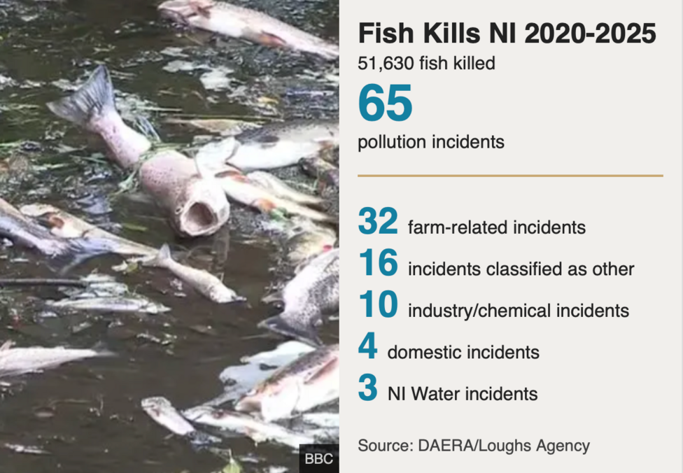 A graphic showing dead fish. Text reads