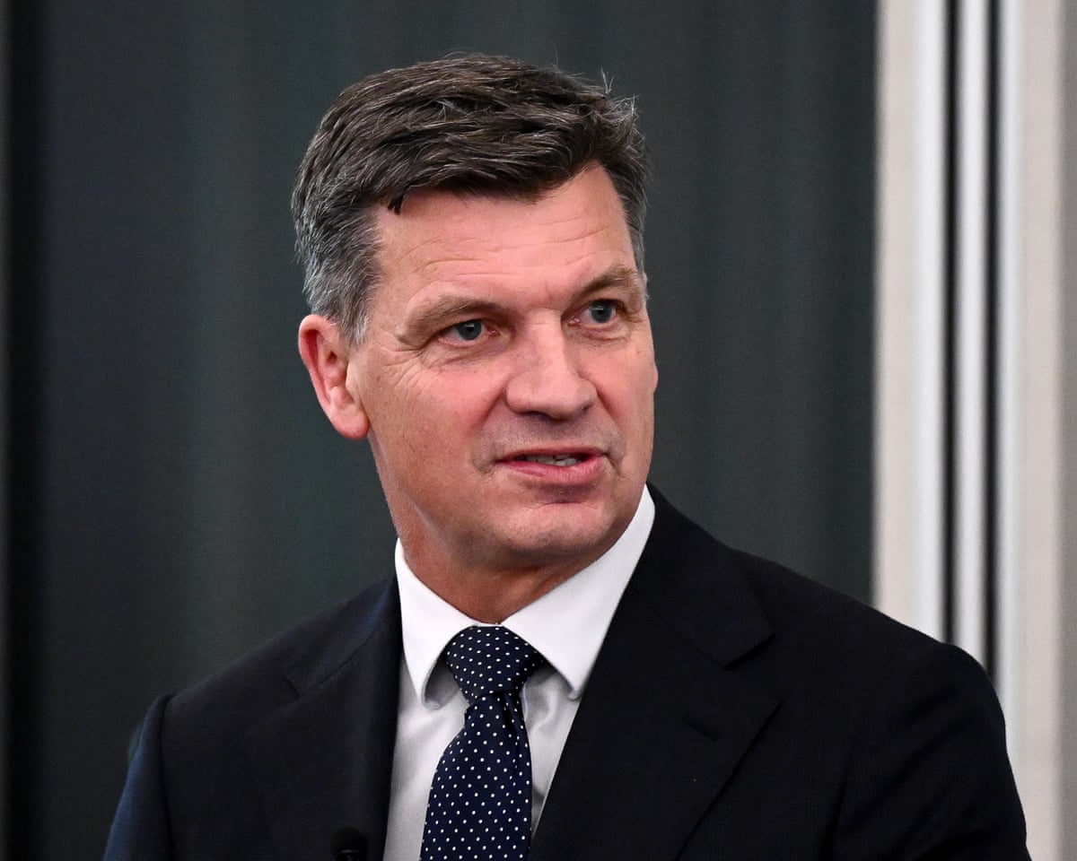 Opposition leader Angus Taylor