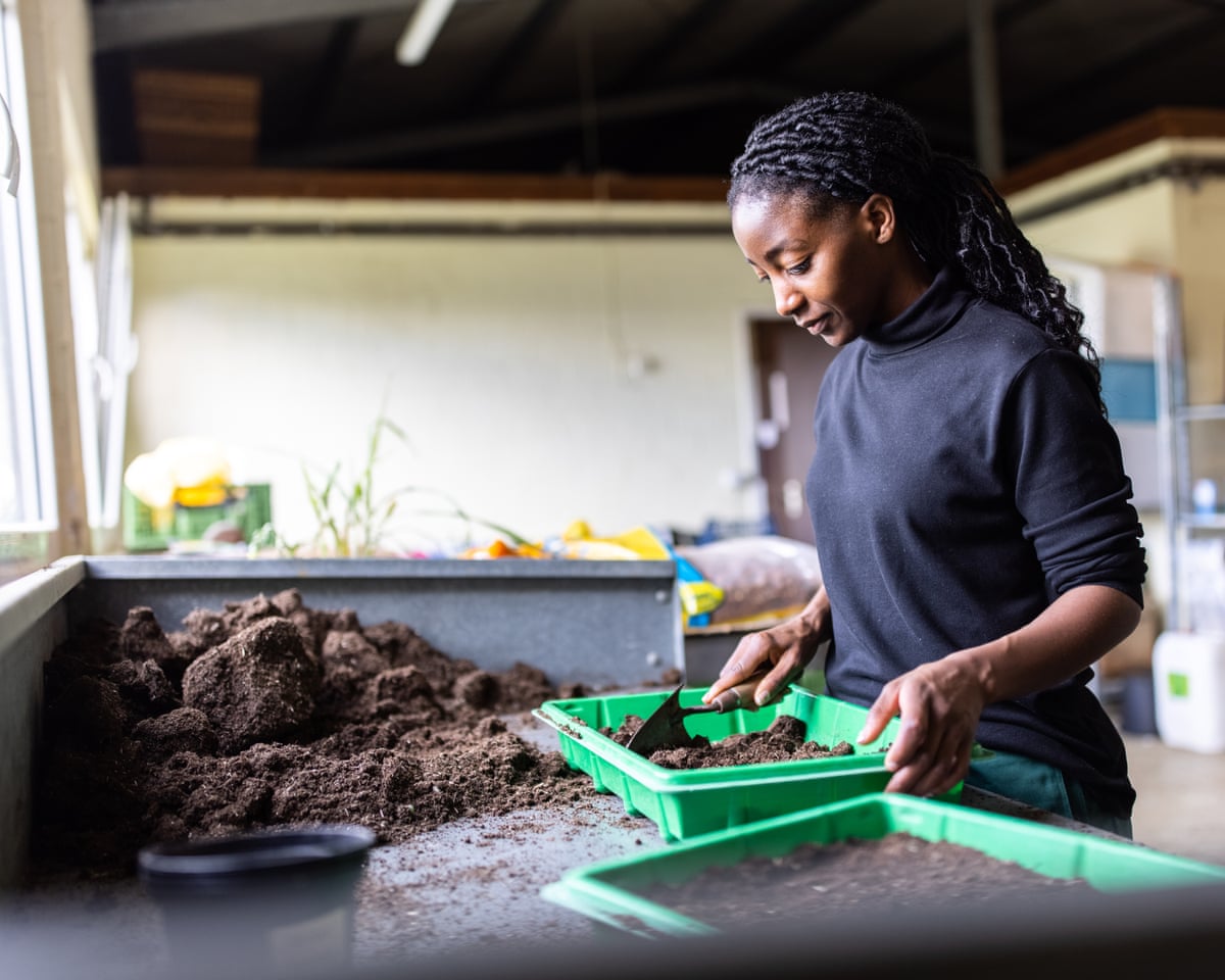 A woman holding a tray of soil and a trowel, planting seedlings 