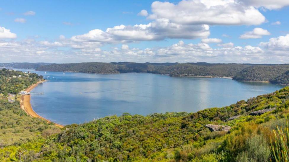 Lush bushland surrounds an inlet with small boats in the distance