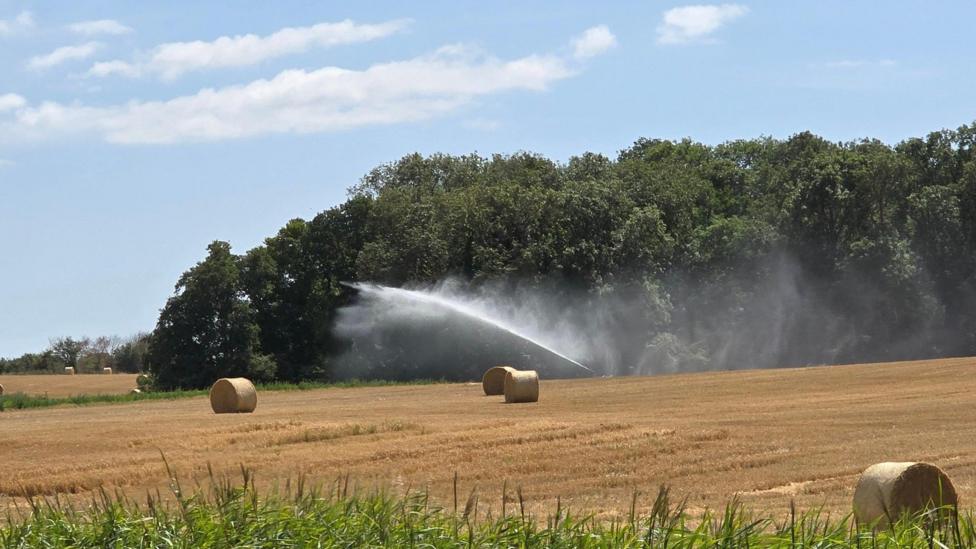Hay bales in a field and an agricultural hose sprays in the background