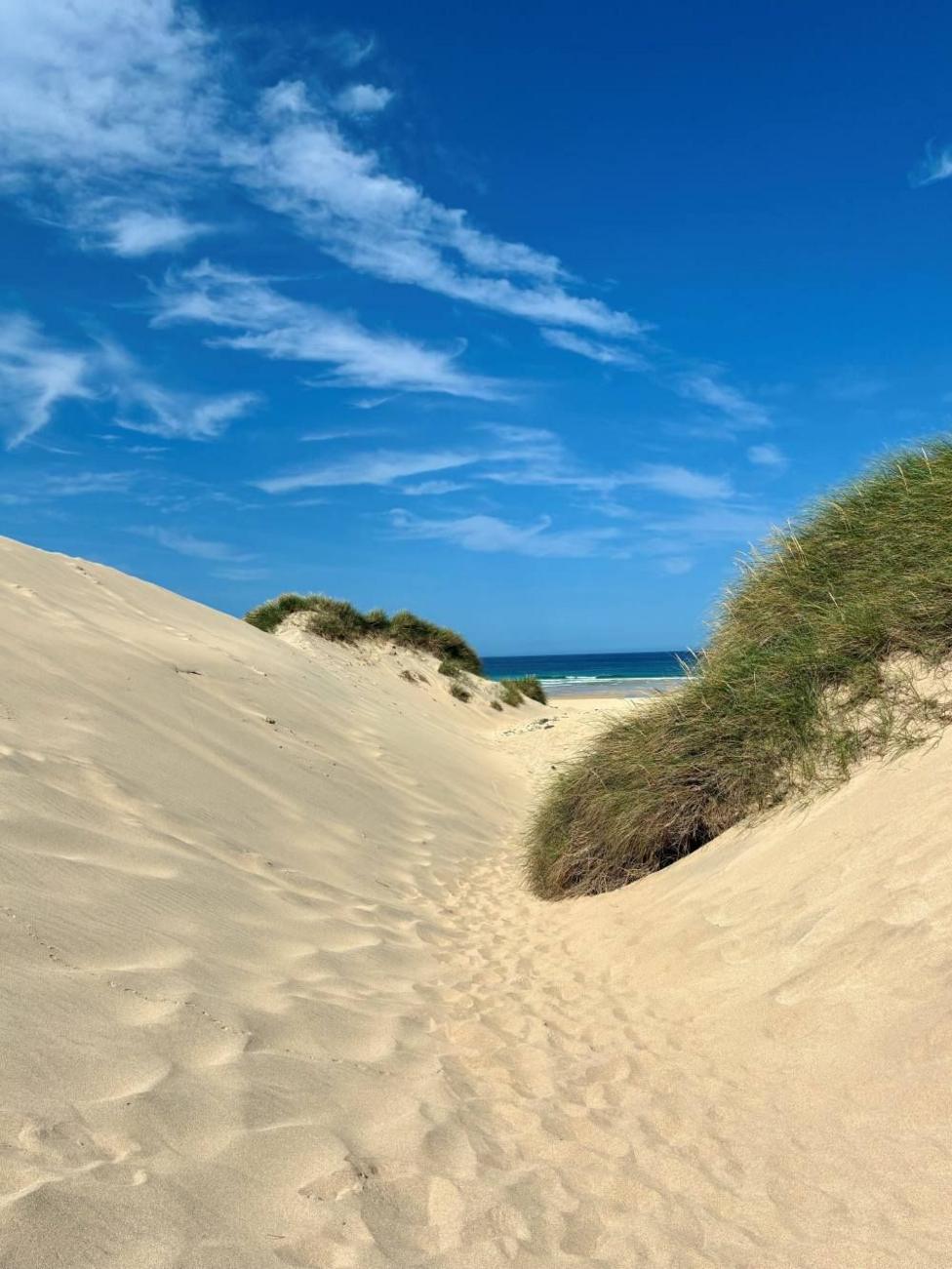 Sandy path winding through coastal dunes toward the sea.