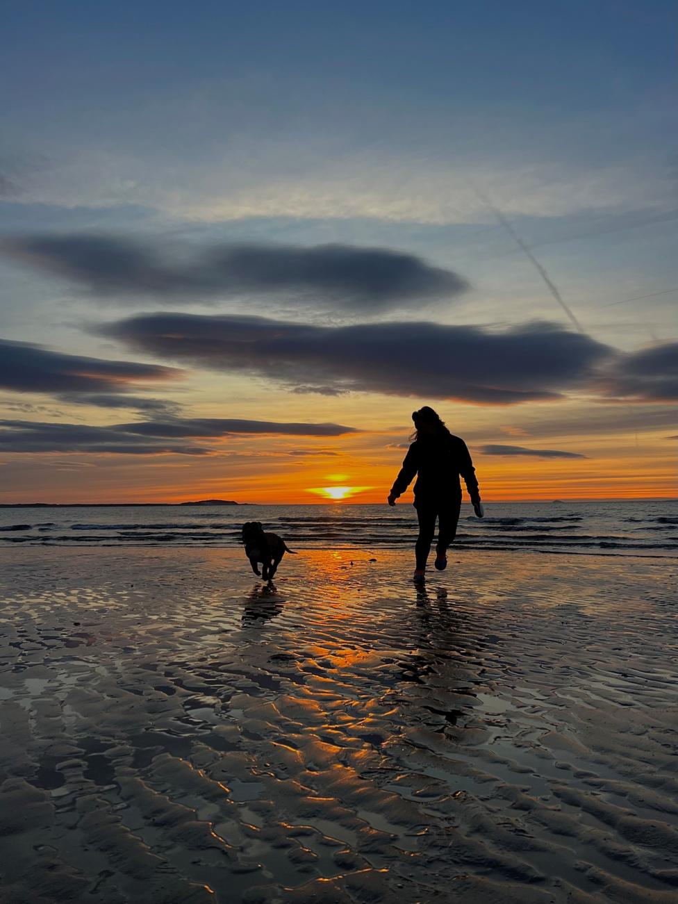 Sunset reflections across wet sand as a silhouetted women and dog run along the shore.