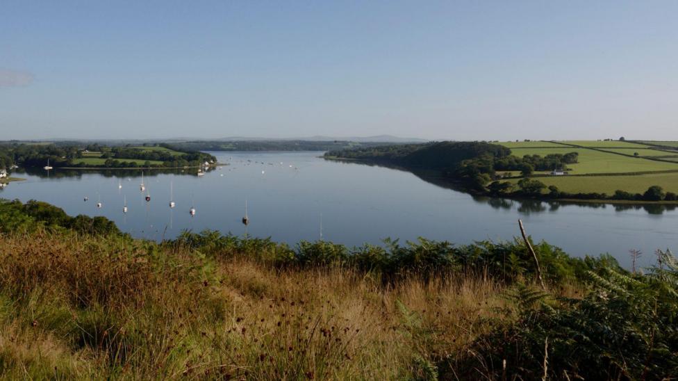 The Cleddau estuary in Pembrokeshire. Green fields can be seen on either side of the waterway which is filled with small sailing boats and yachts. 