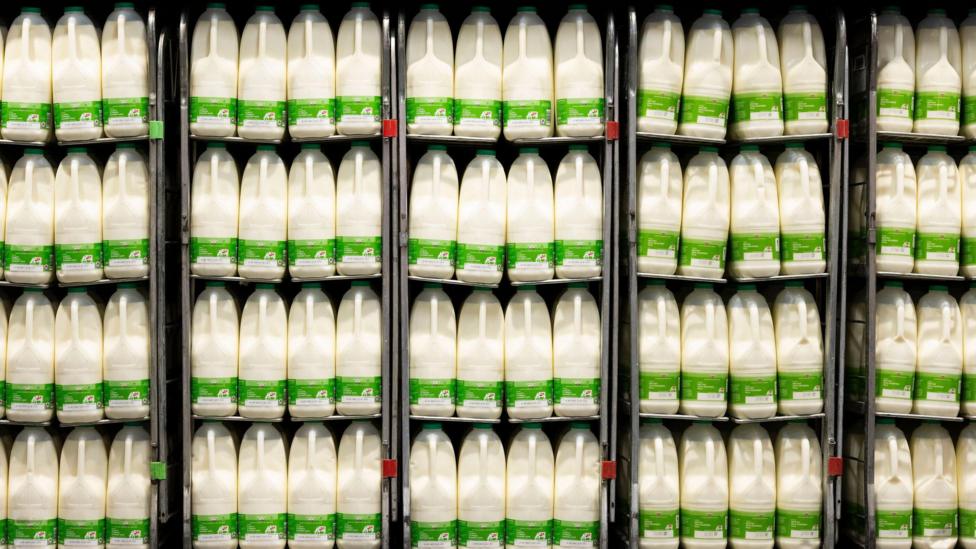 Milk in a supermarket