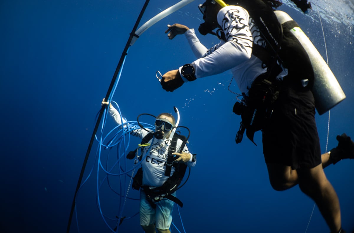Two men with scuba tanks holding wires and a what looks like a recording boom