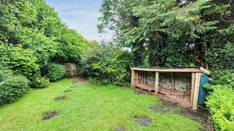 A garden with green grass and bushes surrounding the plot. It also has a wooden storage container, which could be used to store logs. 