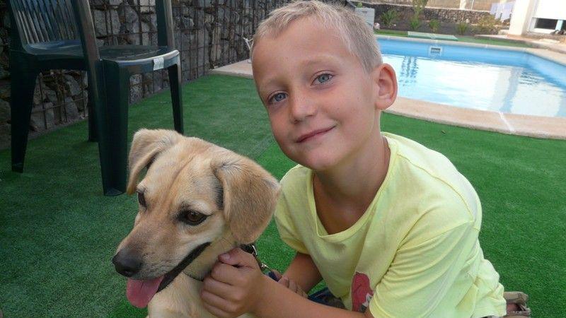 a young boy and a dog in a garden