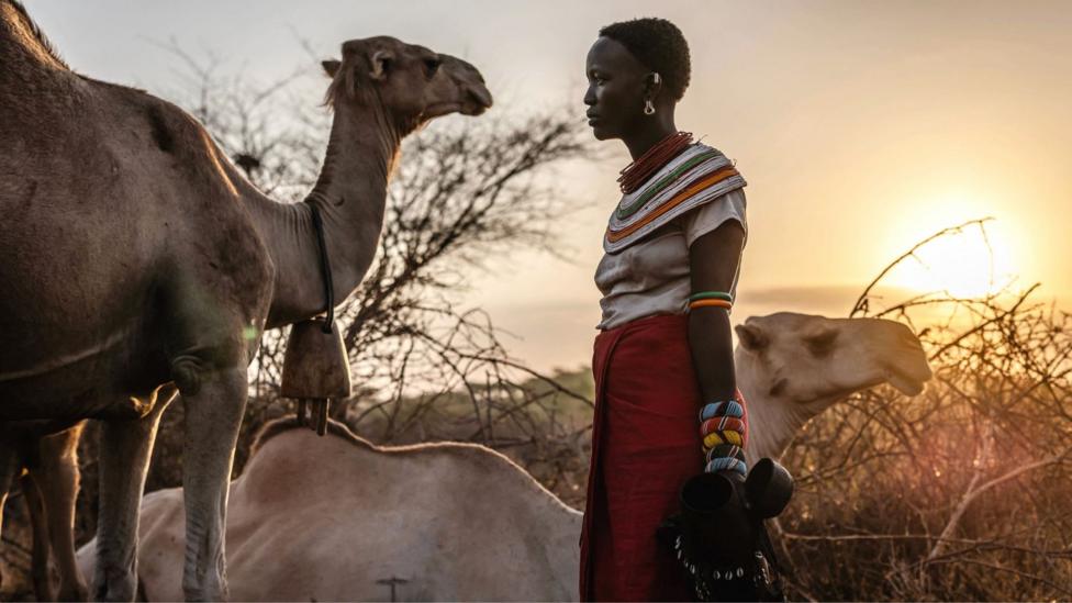 A young female pastoralist in Kenya wearing Samburu bead jewellery (bracelets and necklaces) prepares to milk camels at dawn in 2025.