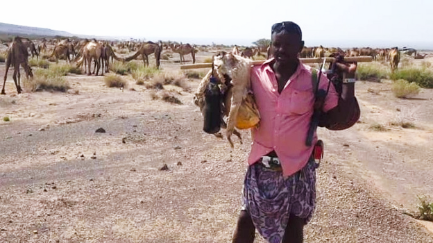 Herder Ali Umer, in a pink shirt and purple patterned sarong, holds a stick over his shoulders. Behind him can be seen his camels in the Afar region of north-eastern Ethiopia