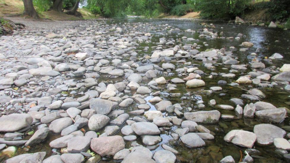 The river Elwy. The bank is made up of pebbles, with the river behind it. Trees line both banks.
