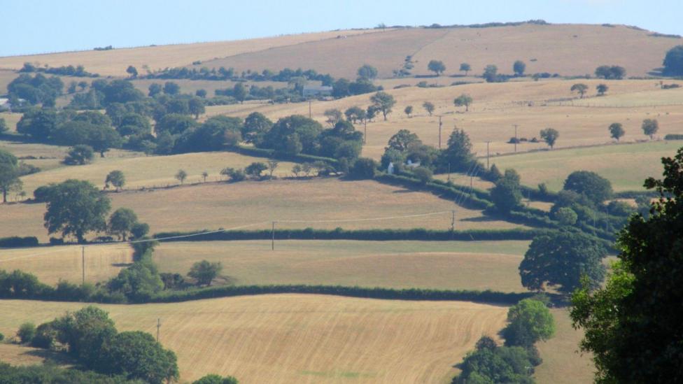 A landscape view showing parched fields in Denbighshire