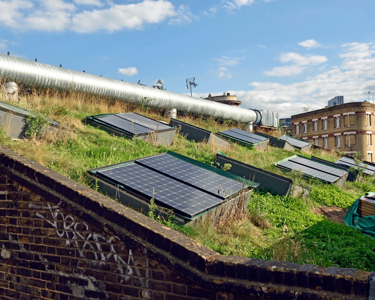Solar panels set amid the grass on a green rooftop in Shoreditch, London.