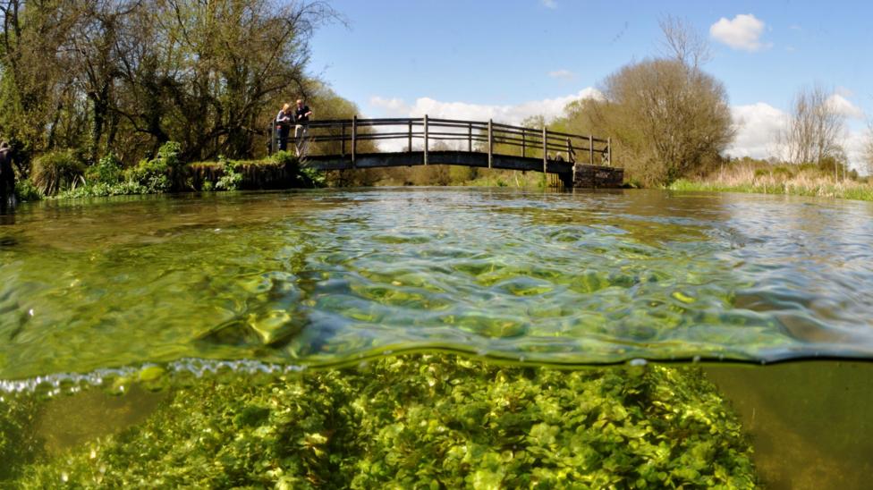 A chalk stream passes underneath a wooden footbridge.