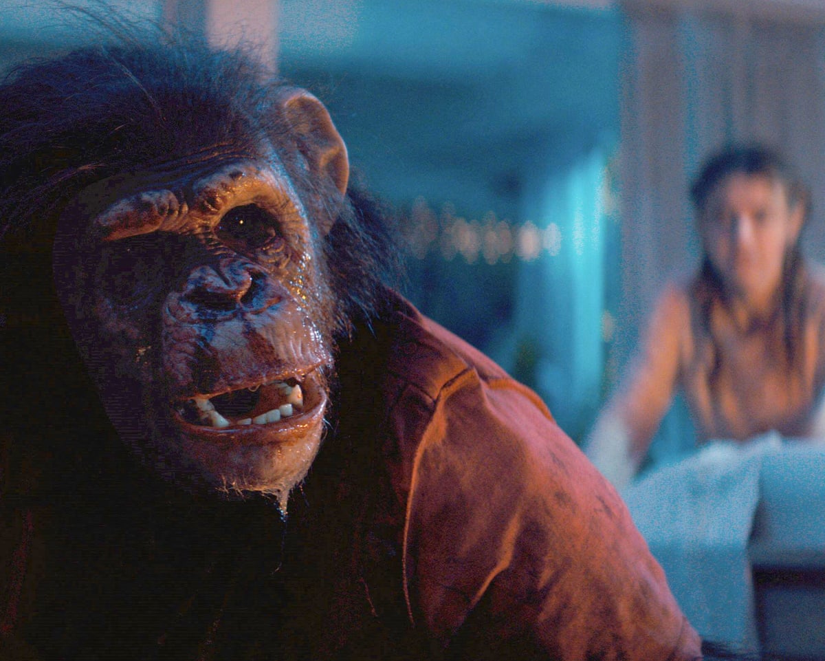 Primate.