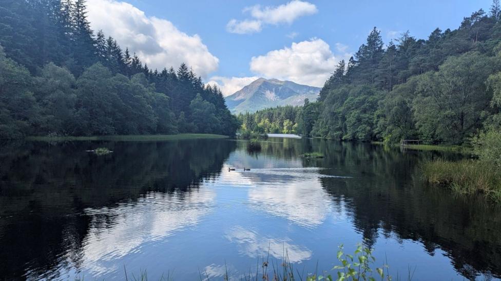 A loch surrounded by forest with a mountain in the background