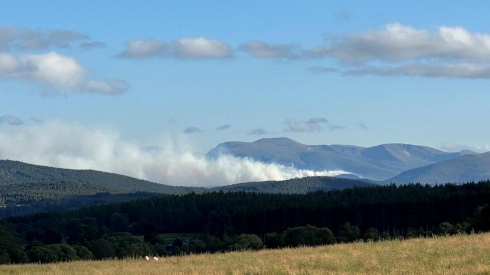 smoke on a hillside during daytime