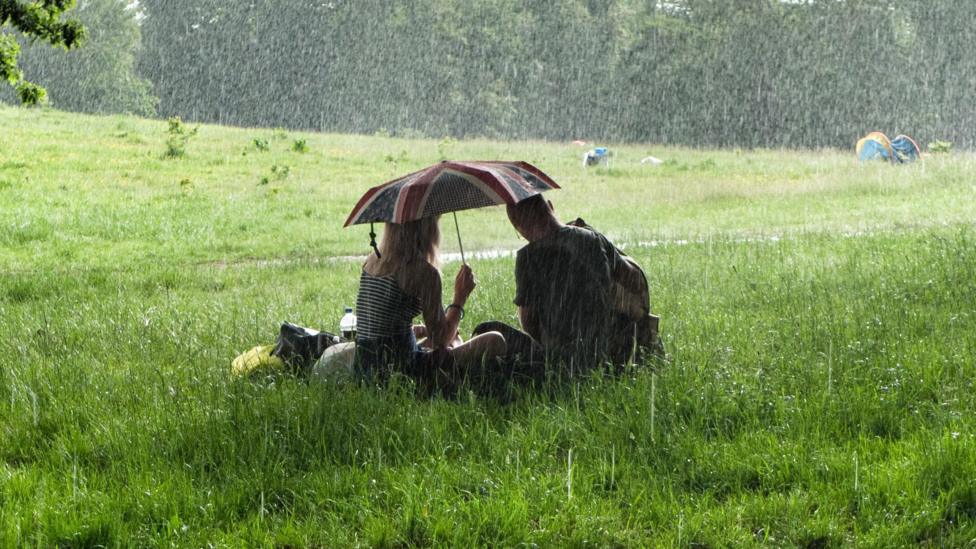Two people sat on grass under an umbrella. Their backs are to the camera.
