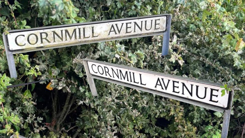 The image shows two street signs, both reading Cornmill Avenue, positioned at slightly different angles against a backdrop of dense green foliage. The signs are mounted on metal posts and appear weathered, with some dirt and discoloration suggesting age and exposure to the elements.