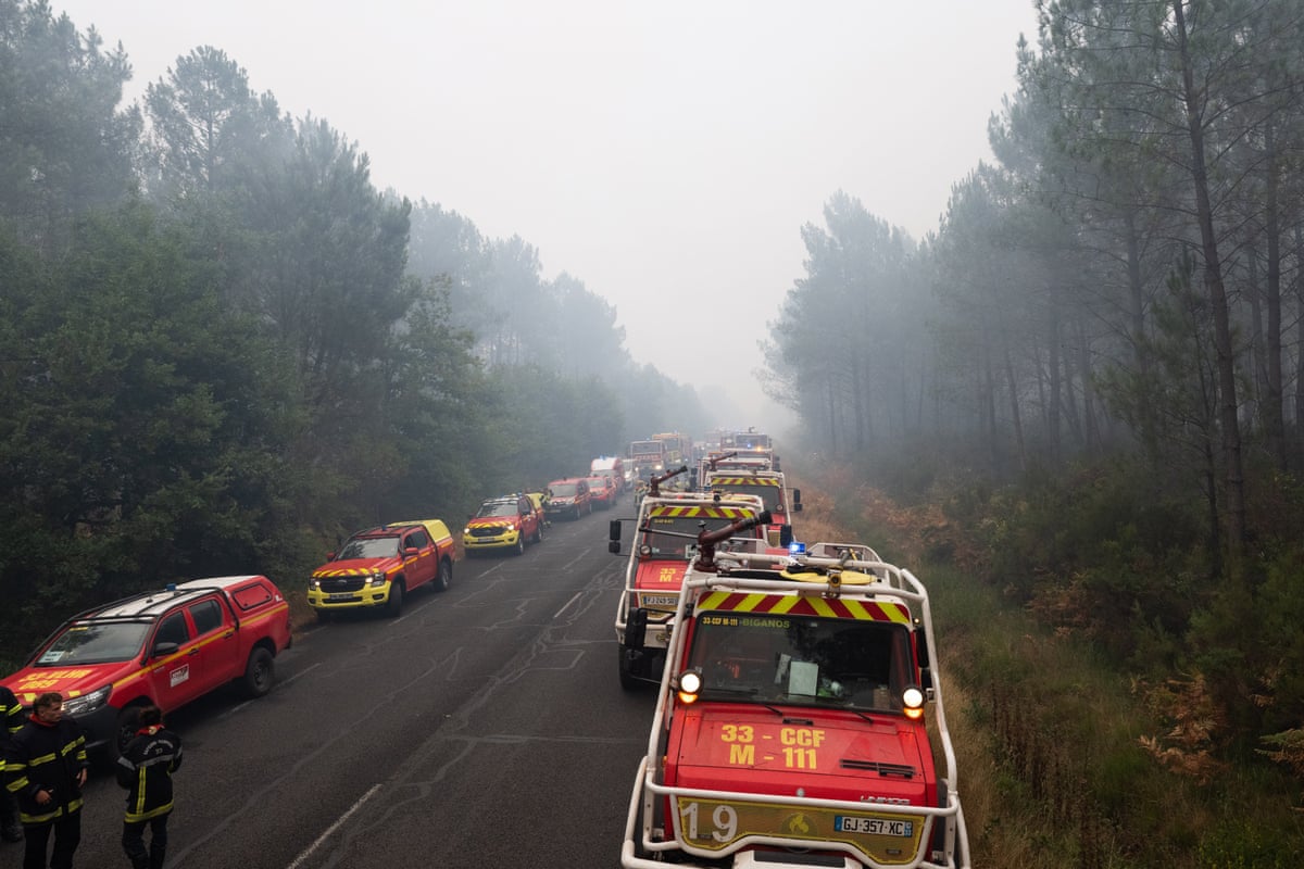 Firefighting trucks line the sides of a road running through a forest in south-western France